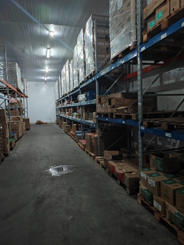 Porta Pallets Águia - Imagem 2